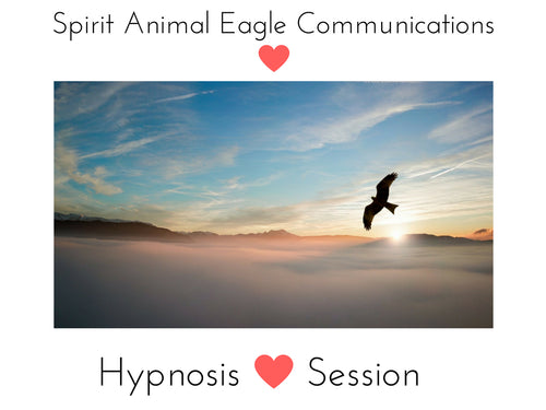 Spirit Animal Eagle Communication Hypnosis Session (7 min Series)