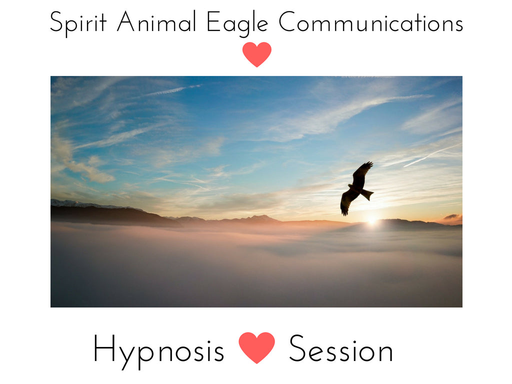 Spirit Animal Eagle Communication Hypnosis Session (7 min Series)