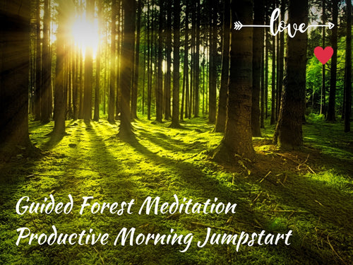 Guided Forest Meditation - Productive Morning Jump Start! (27 min)